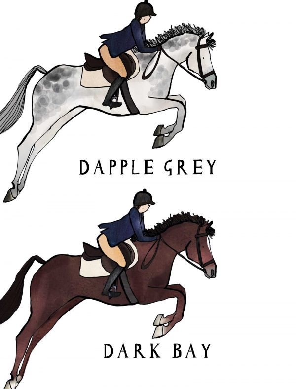 horse dark dapple