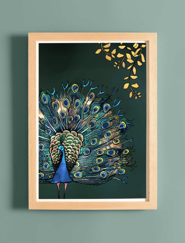 fantail peacock on plain web size